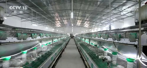 衍生農產品與網絡技術 創意農業為鄉村振興注入“別樣美”